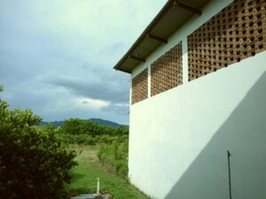 View from dorm area